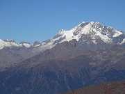 74 Zoom sul Disgrazia